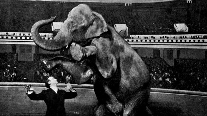 Harry Houdini lässt Elefanten verschwinden