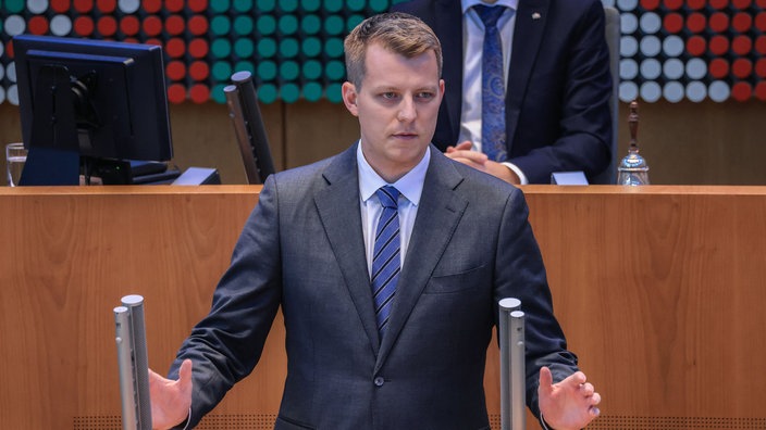 FDP-Fraktionschef im Landtag, Henning Höne