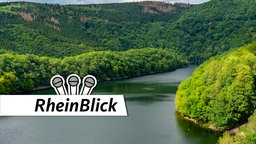 Blick auf den Nationalpark Eifel