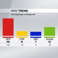 Die CDU kommt bei der Sonntagsfrage auf 31 Prozent, die SPD auf 30, die FDP auf 8, die AfD auf 7, die Grünen auf 15 und die Linke auf 4 Prozent.