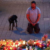 Ein Mann kniet trauernd vor einer großen Menge Kerzen und Blumen. Neben ihm steht sein Hund.