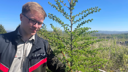 Philip Dahme vom Forstamt Siegen-Wittgenstein steht in einer Waldlandschaft. 