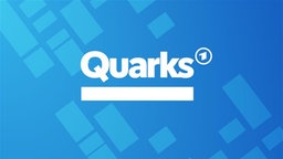 Logo von Quarks