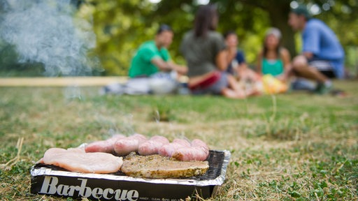 Junge Leute chillen und grillen im Park