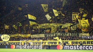 Fussball-Reportage