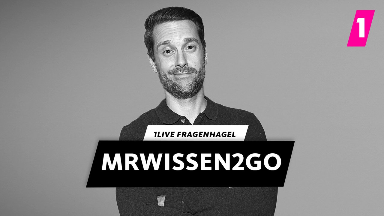 MrWissen2go im 1LIVE Fragenhagel