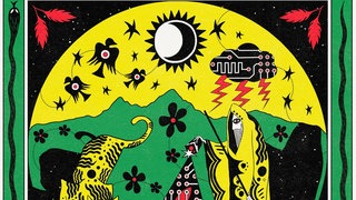 Cover des Albums "Chasing Shadows" von Nubiyan Twist: Ein gelb-grün-schwarz gehaltenes Bild mit tribalistischen Motiven. Zu erkennen sind ein Tiger, ein Mann mit Mantel, Vögel, Gewitterwolke und eine Sonne-Mond-Kombination