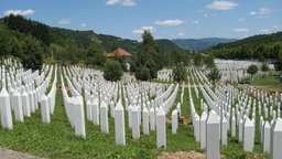 Potočari - groblje dokle pogled seže