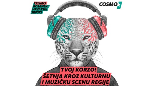 Korzo mačka