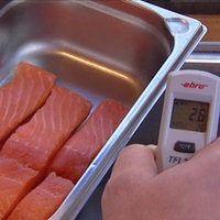 Bei einer Lebensmittelkontrolle wird Lachs auf seine Temperatur getestet.