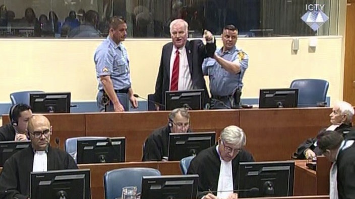Ratka Mladića izvode iz sudnice