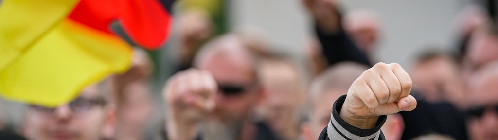 Manifestanti di estrema destra 