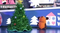 WDR 2 Weihnachtswunder in Essen (13.12.2025) - Häkelmaus