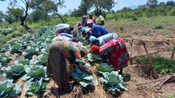 WDR 2 Weihnachtswunder - Landwirtschaftsprojekt im Norden Ugandas