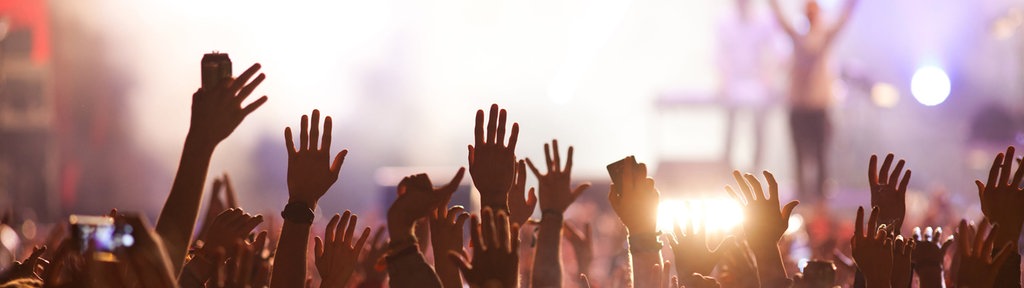 Eine begeisterte Menge bei einem Live-Konzert