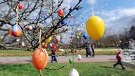 Ostereier schmücken die Zweige eines Baumes