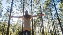 Eine Frau steht mit ausgebreiteten Armen in einem Wald bei strahlendem Sonnenschein