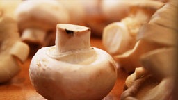 Mehrere Champignons, einer steht auf dem Kopf