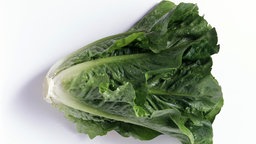 Romanasalat (Römischer Salat) 