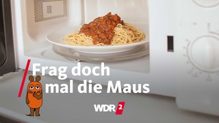 Ein Teller mit Spaghetti Bolognese steht in einer Mikrowelle