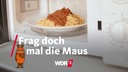 Ein Teller mit Spaghetti Bolognese steht in einer Mikrowelle