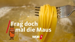 Kochende Spaghetti in einem Topf