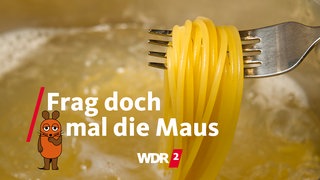 Kochende Spaghetti in einem Topf