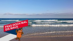Wellen des Atlantischen Ozeans an einem Strand auf der Insel Fuerteventura