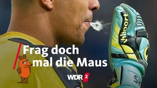 Torwart spuckt auf seinen Torwarthandschuh (Archivfoto vom 26.11.2015)