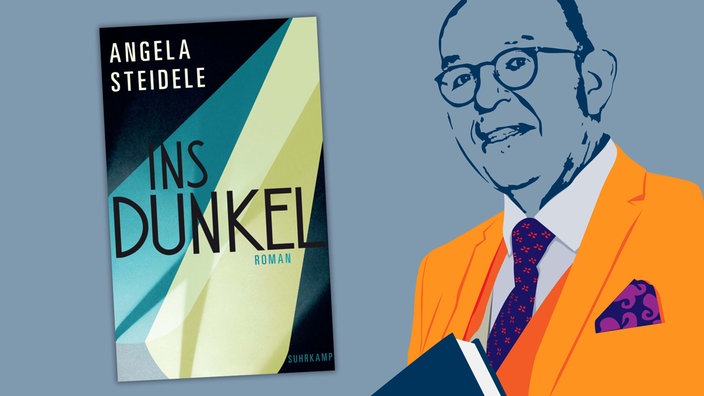 Angela Steidele - Ins Dunkel