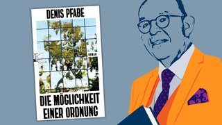 Denis Pfabe - Die Möglichkeit einer Ordnung