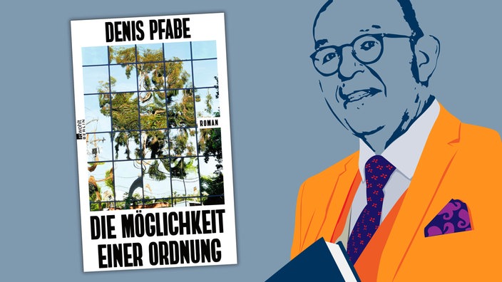 Denis Pfabe - Die Möglichkeit einer Ordnung