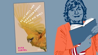 Dita Zipfel - Es ist hell und draußen dreht sich die Welt