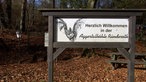 Aggertalhöhle