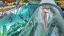 AquaMagis Plettenberg