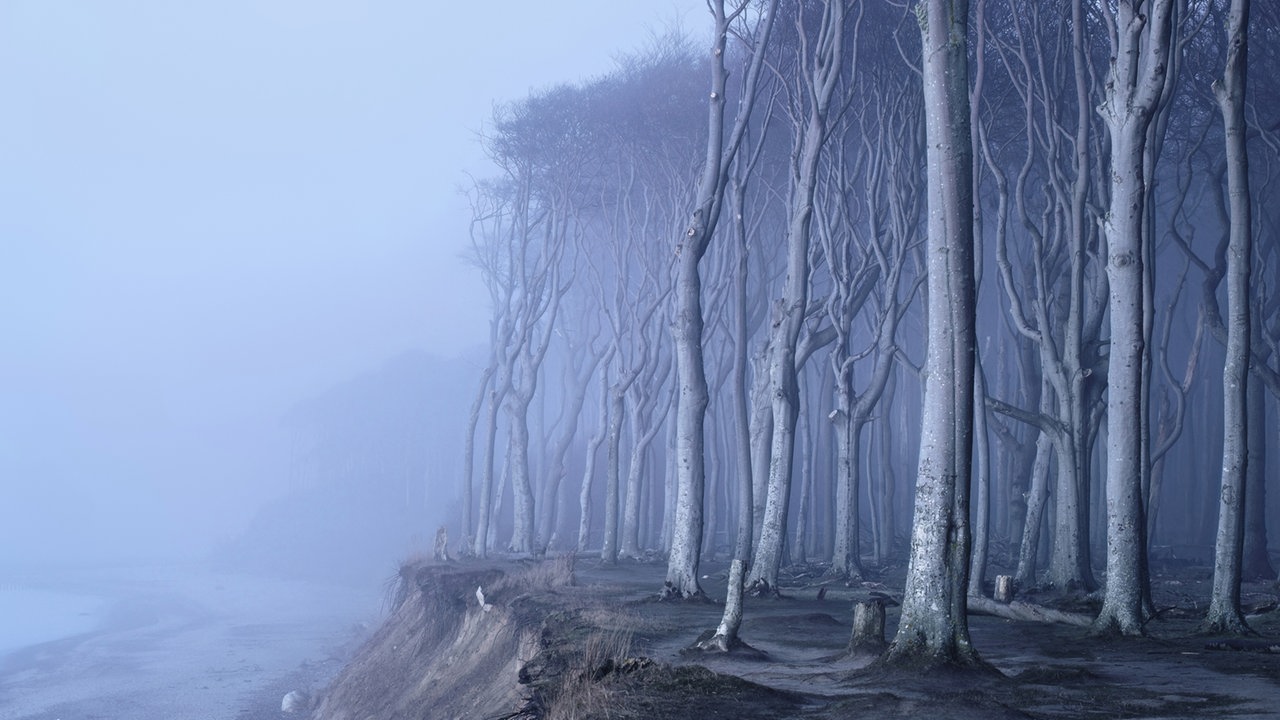 Ausstellung "Mythos Wald" im Gasometer Oberhausen - "Gespensterwald"