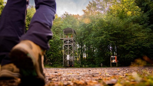 Nahaufnahme von den Wanderschuhen an den Füßen einer wandernden Person.