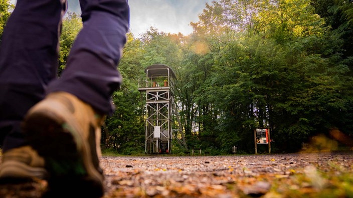 Nahaufnahme von den Wanderschuhen an den Füßen einer wandernden Person.