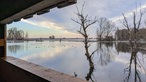 Bislicher Insel: Vogelbeobachtungshütte