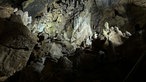 Fantasy-Bogenschießen in Warstein