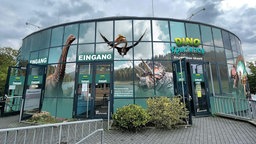 Dinoxperience Königswinter