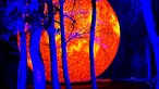 Herbstlichter im Westen