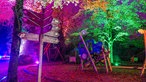 Herbstlichter im Westen