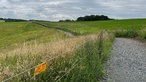 Der Hexenpfad in Kürten