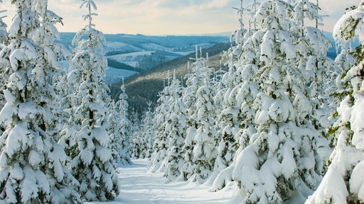 Schneebedeckte Bäume und ein Panoramablick vom Kahlen Asten über das Sauerland.