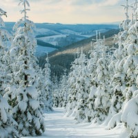 Schneebedeckte Bäume und ein Panoramablick vom Kahlen Asten über das Sauerland.