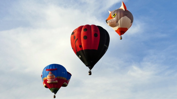 Montgolfiade in Warstein - Ballons am Himmel, u.a. mit Tiermotiven