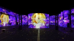 Phoenix des Lumières: Ausstellung "Der kleine Prinz" 
