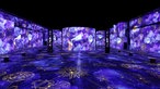 Phoenix des Lumières: Ausstellung "Der kleine Prinz" 