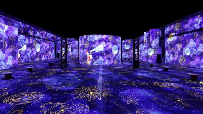 Phoenix des Lumières: Ausstellung "Der kleine Prinz" 